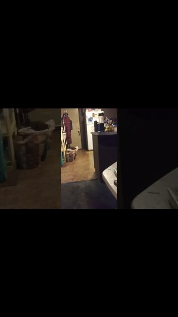 EVERY MALE IN DELPHI INDIANA RIGHT NOW