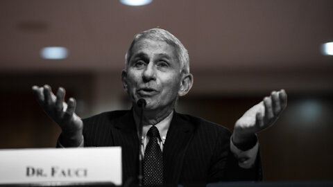 Washington Post Defends Fauci Against Puppy Torture