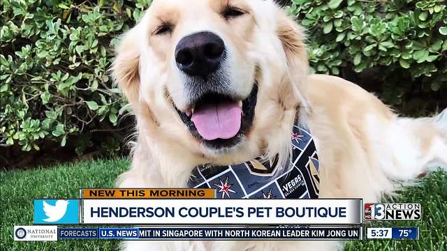 Henderson pet boutique selling Golden Knights pet apparel after dog diagnosed with cancer