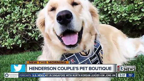 Henderson pet boutique selling Golden Knights pet apparel after dog diagnosed with cancer