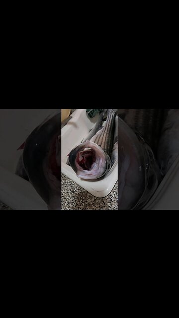 Another good fishing day.🥰🥰