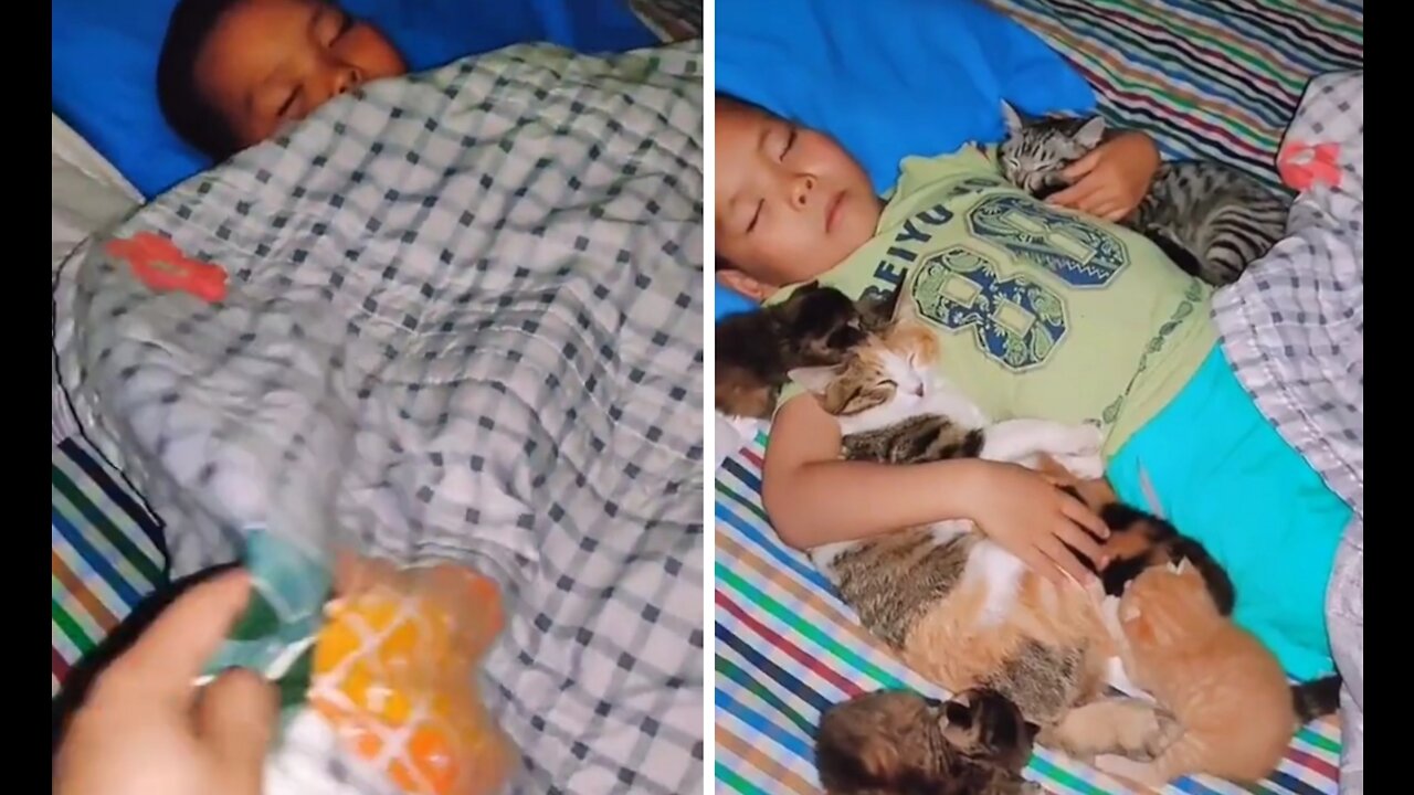 BOY SLEEPING WITH CAT FRIENDS