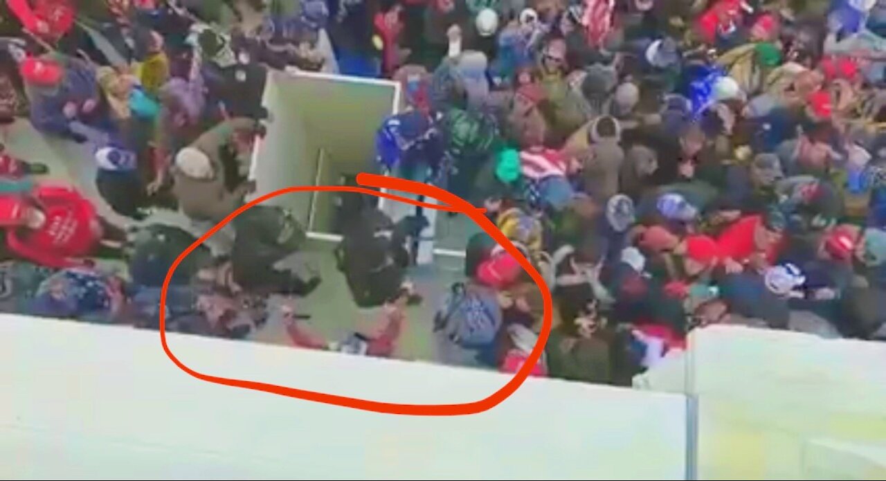2-DC RALLY: MSM WONT SHOW YOU THIS (MAGA ATTEMPT TO STOP THUG)