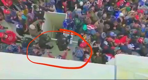 2-DC RALLY: MSM WONT SHOW YOU THIS (MAGA ATTEMPT TO STOP THUG)