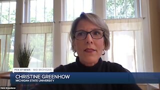 Christine Greenhow is an education and technology expert from Michigan State University.