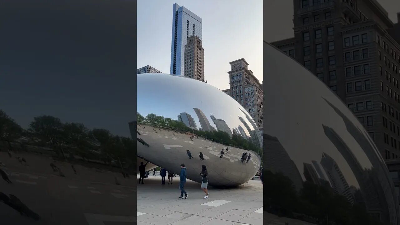 Chicago Bean #shorts #chicagobean #bean