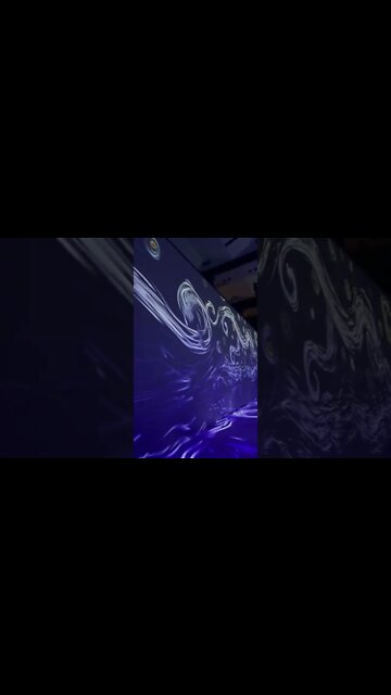 Scene From Vincent Van Gogh Art Show