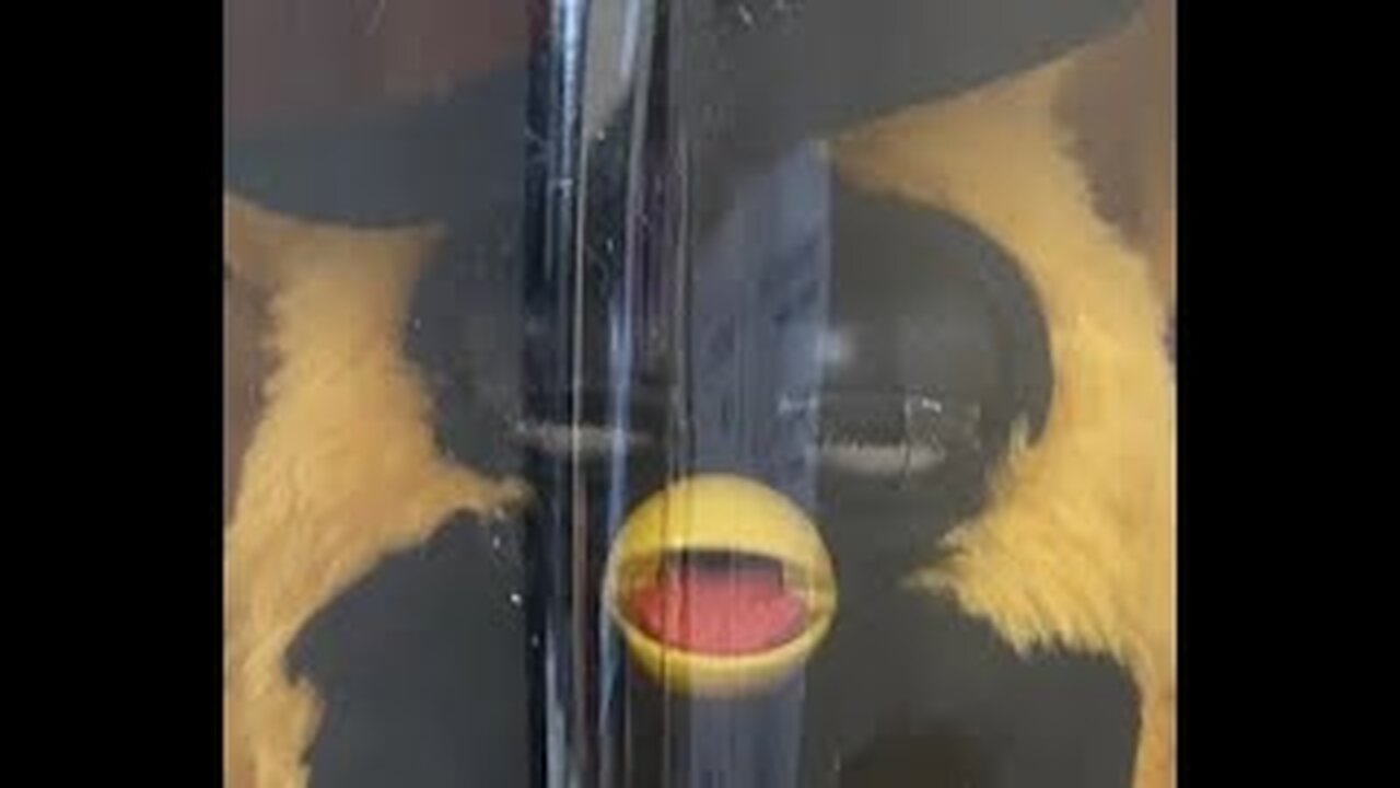Obama on crack(old vrchat video)(recorded in 2020)