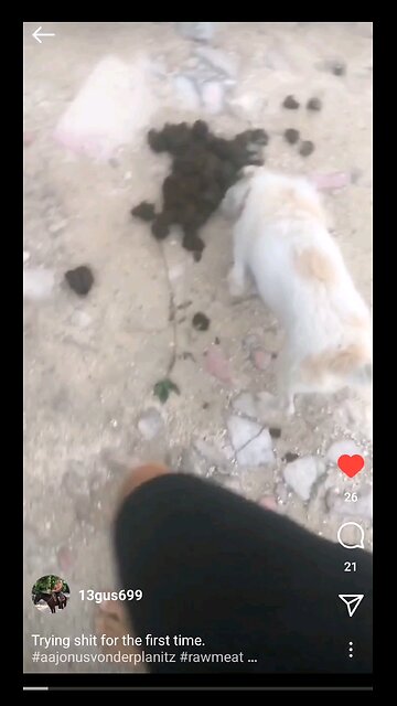 Eating Poo 💩 Probiotics