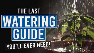 Thirsty Plants? Learn the Secrets to Perfect Cannabis Watering