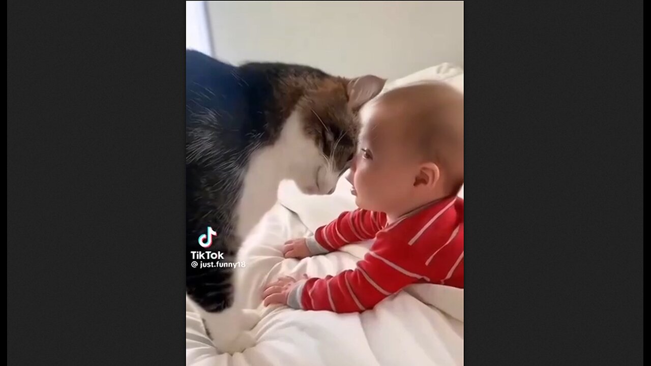 Cats & The Children They Love