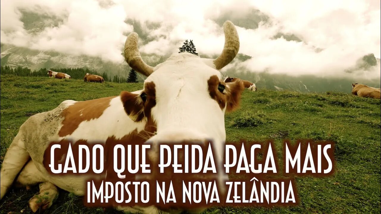 Gado que peida paga mais imposto na Nova Zelândia - Emerson Martins Video Blog 2023