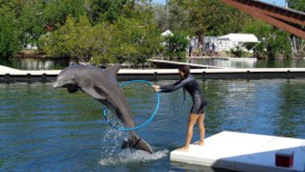 Exciting day at Theater of the Sea in Islamorada, Florida Keys