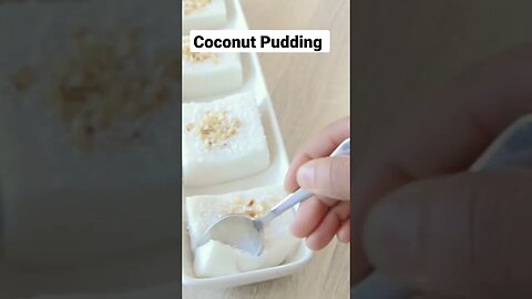 Coconut Pudding (Dairyfree and Eggless)