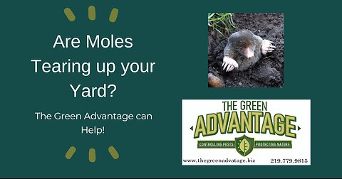 Mole Abatement