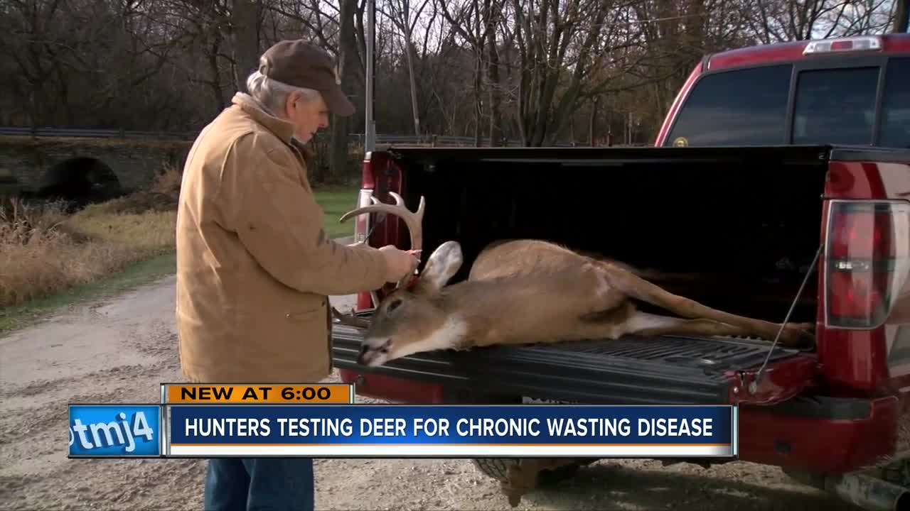 Chronic Wasting Disease testing ramps up during gun deer season