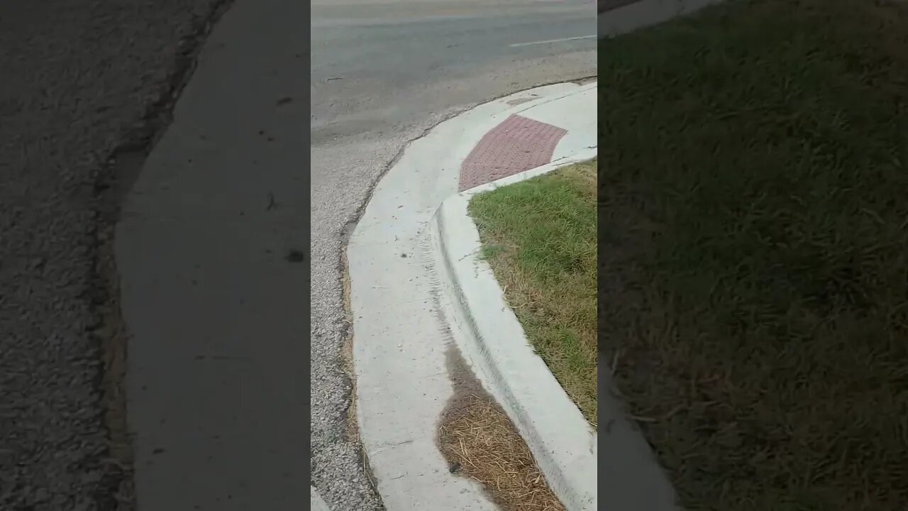 July 5, 2023 #gangstalking