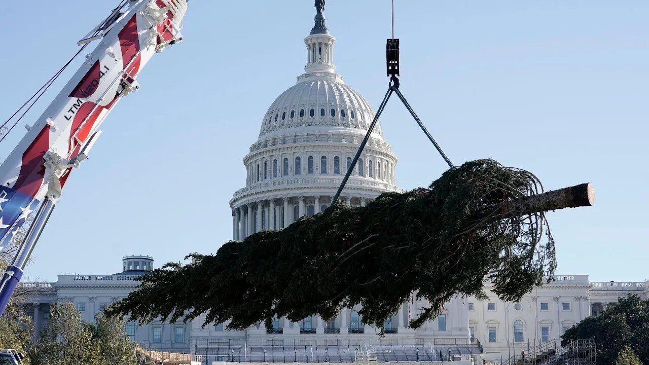 🇺🇸 Llegada del Gigante Árbol de Navidad al Capitolio en Washington, DC (18 nov 2022)