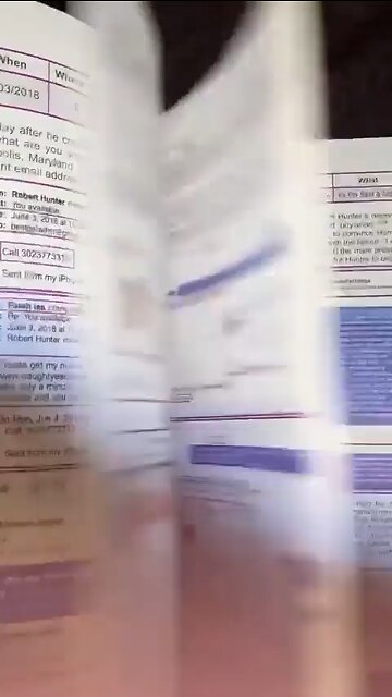 Free Digital Report on Hunter Why is the DOJ protecting the Bidens