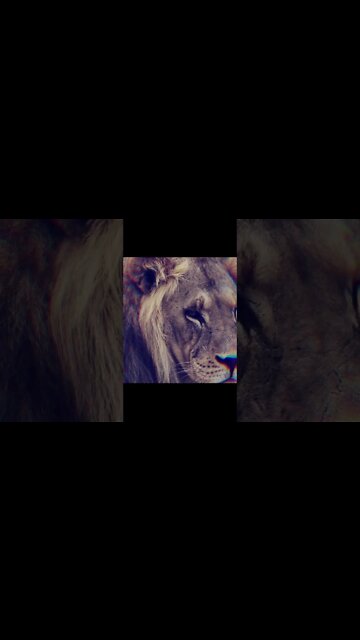 Why Is There an Epidemic of Depression? #shorts