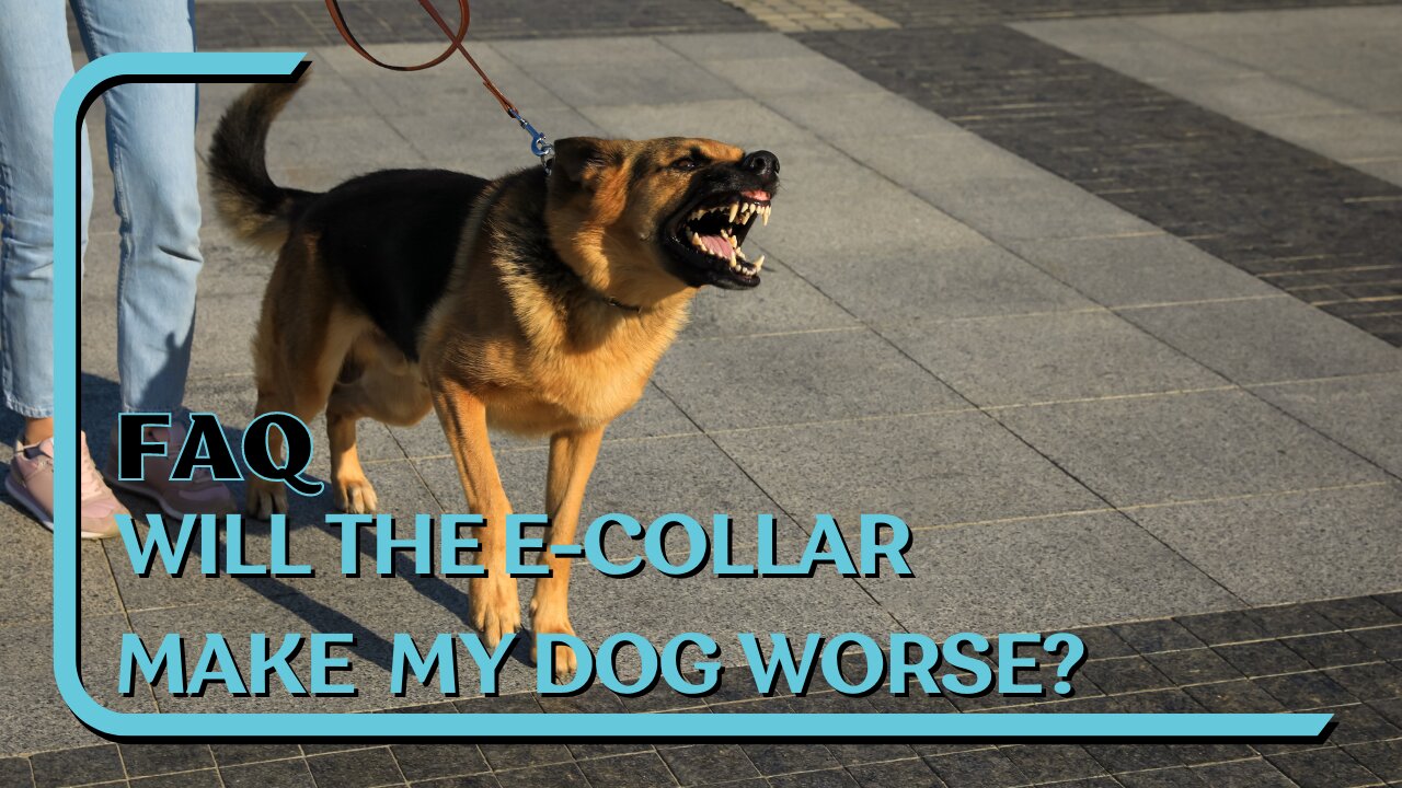 FAQ: Will E-Collar Make My Dog's Behavior Worse Or More Aggressive?