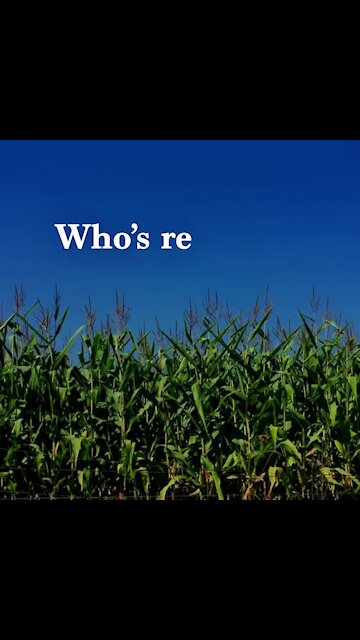 Hay rides and corn mazes [GMG Originals]