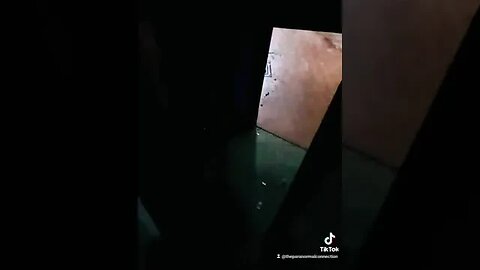 The Door