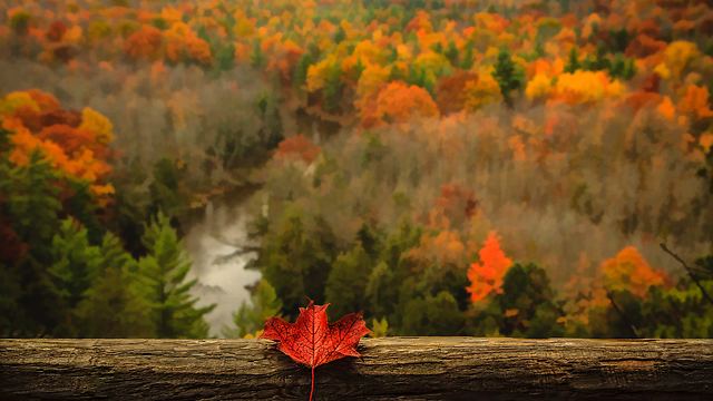 Beautiful Fall Photos