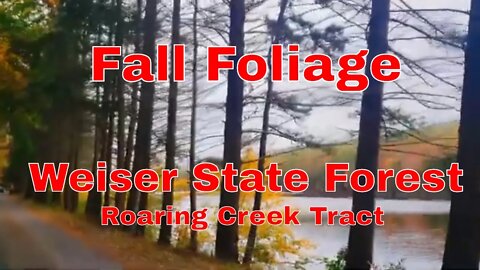Fall Foliage Road Tour