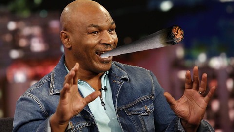 Mike Tyson Helping America Get HIGH AF with New Weed Resort