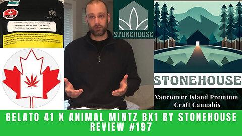 GELATO #41 x Animal Mintz Bx1 by Stonehouse | Review #197