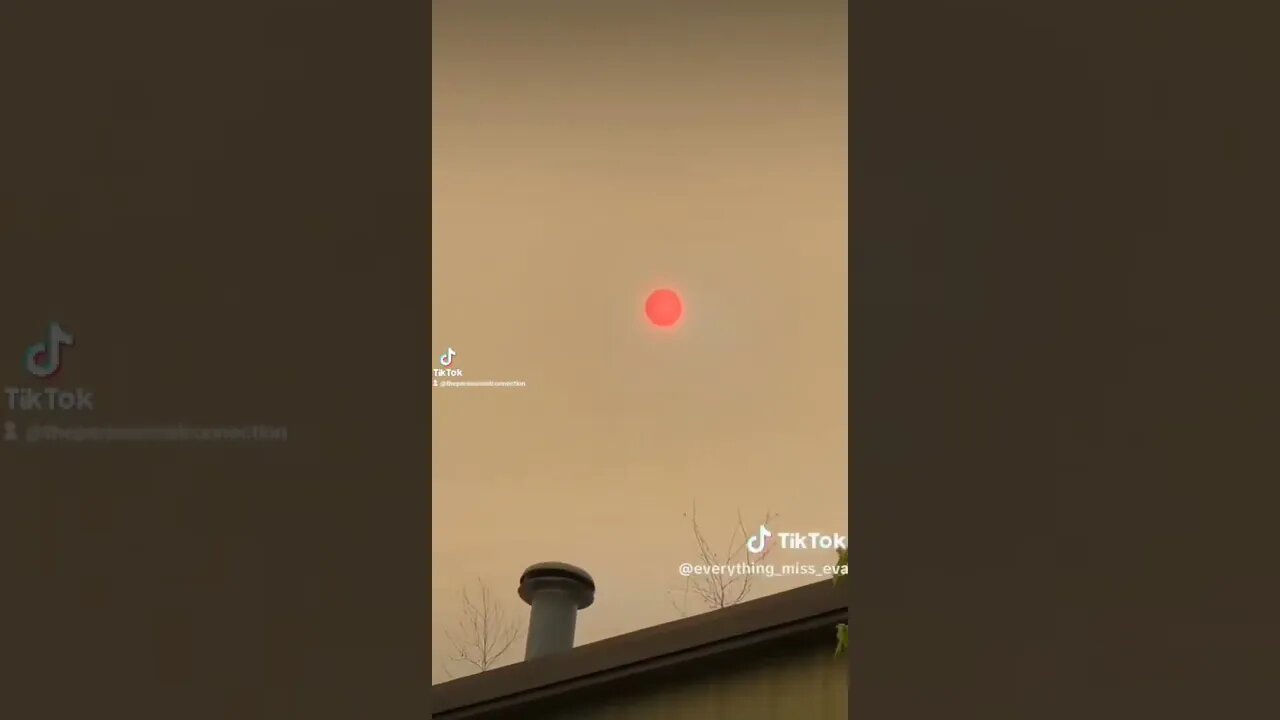 The Red Sun