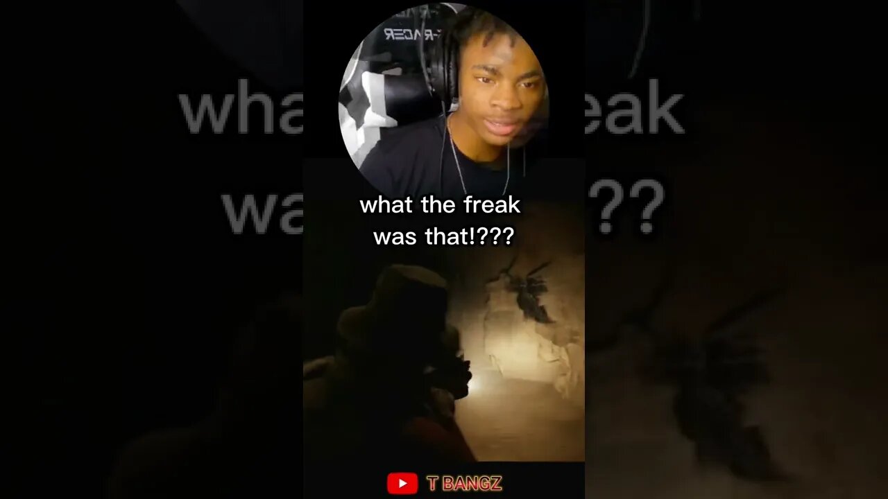 Scared Me So Bad I Started Singing lol