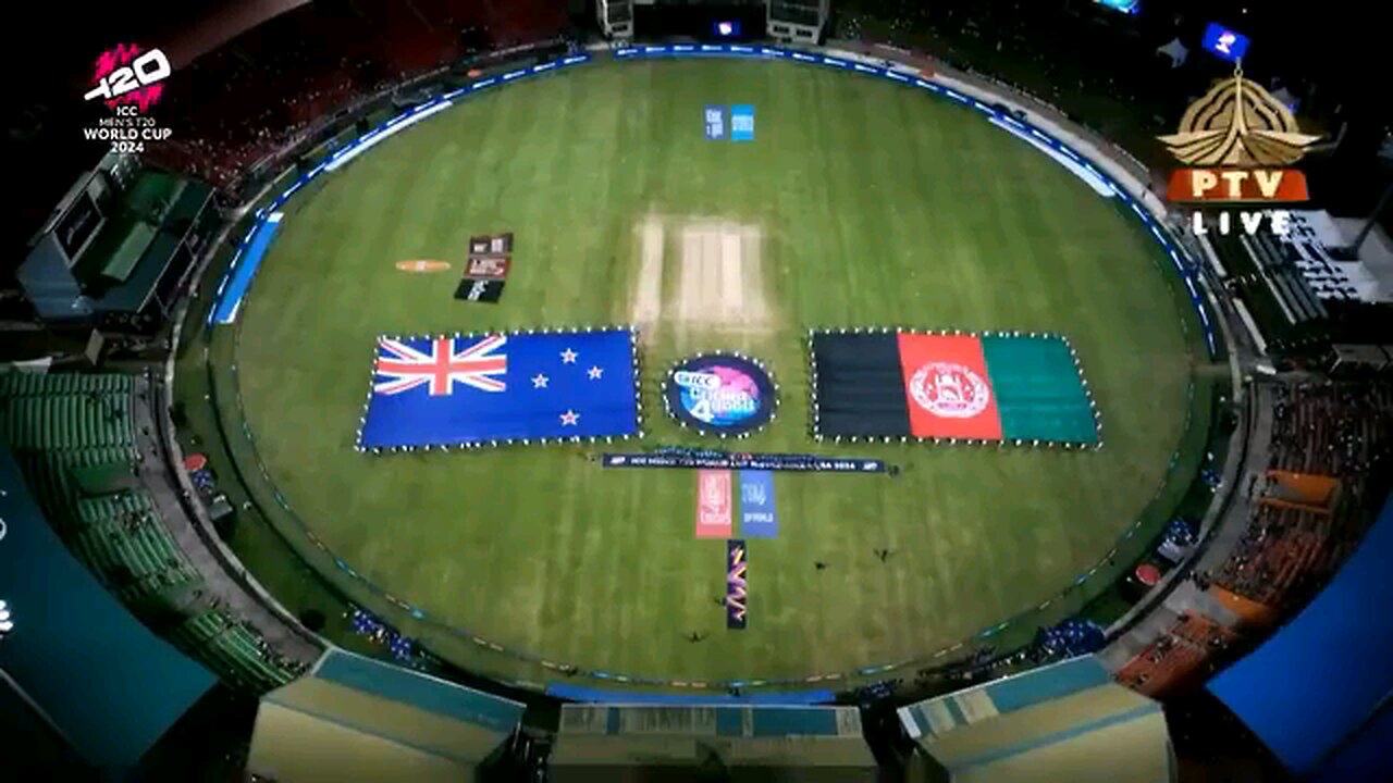 afghanistan win cricet with newsland