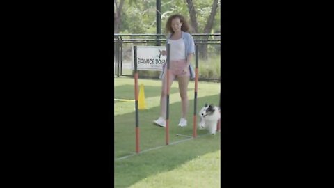 Women training a dog viral video!