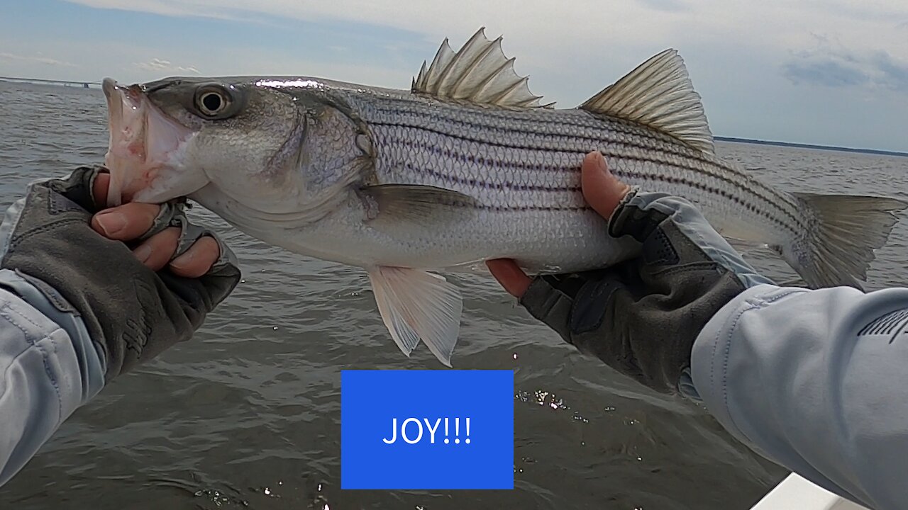 The Striper Blues Journal - Video Log 67 - 05-04-21 - The Word of the Day is JOY!!!