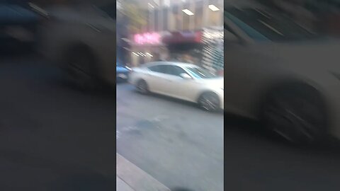 Another Dead Bird in Philly 🕊️