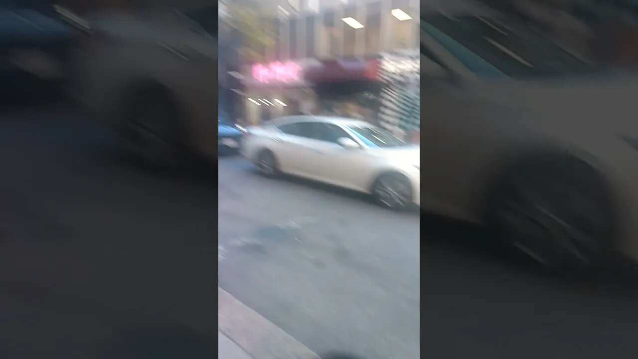 Another Dead Bird in Philly 🕊️