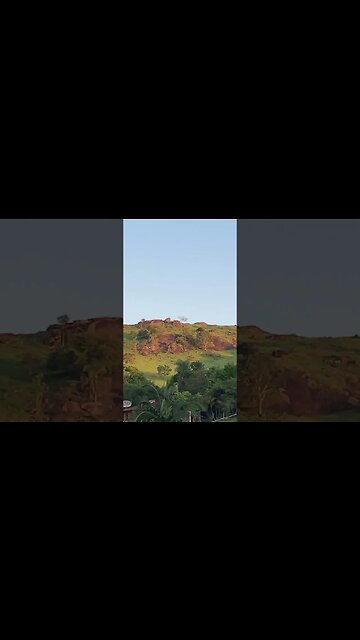 Pra pensar ouvindo Belchior