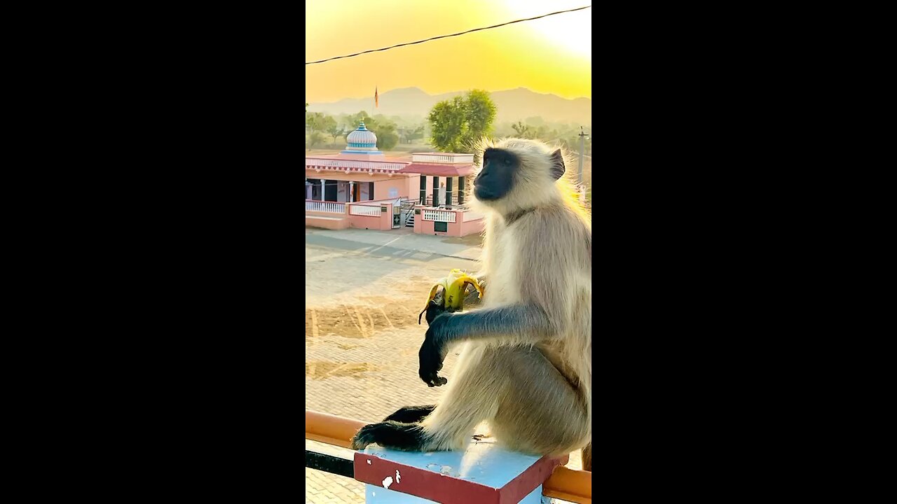 जय श्री राम