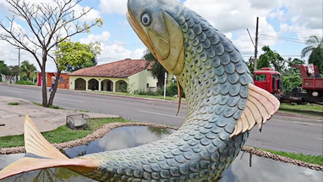 Historia da Cidade de Ladário Mato Grosso do Sul