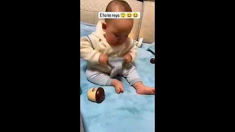 funny videos