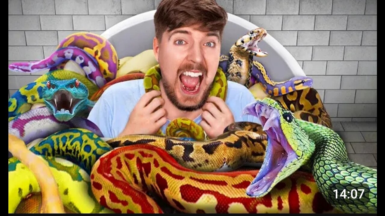 Would You Sit In Snakes For $10,000?