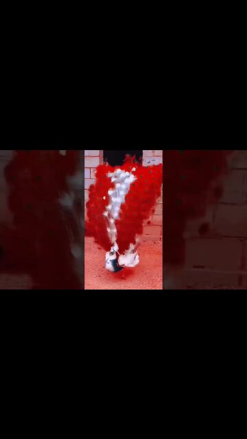 peacocking at its finest 🦚