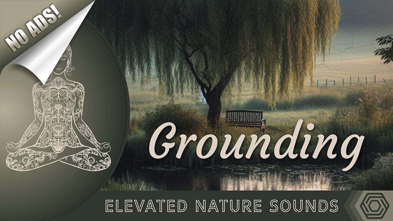 Grounding with The Tone Of The Earth 432 Hz Pure Tone HQ Sound Of Crickets NO ADS