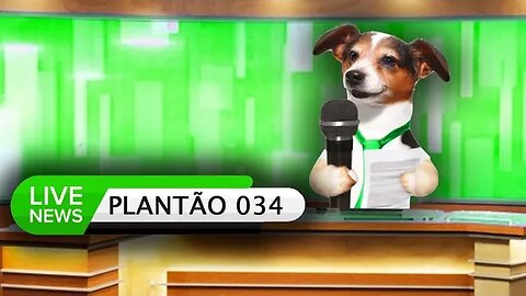 Plantão de Dúvidas Veterinárias #34 | Dr. Edgard Gomes