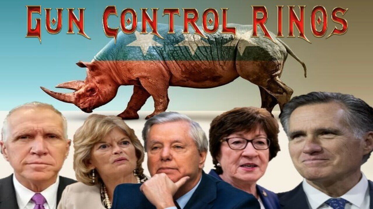 Gun Control RINOs