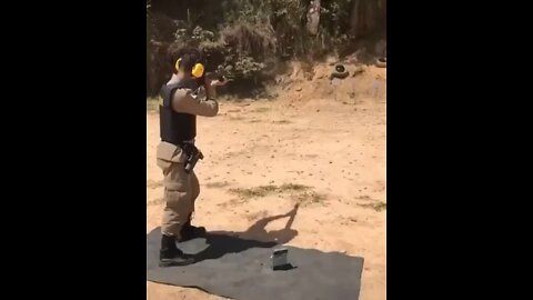 The excellent cop