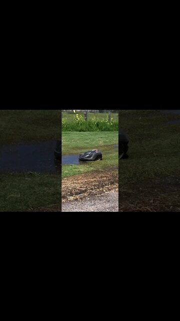 Robot Lawnmower Navigates Puddle