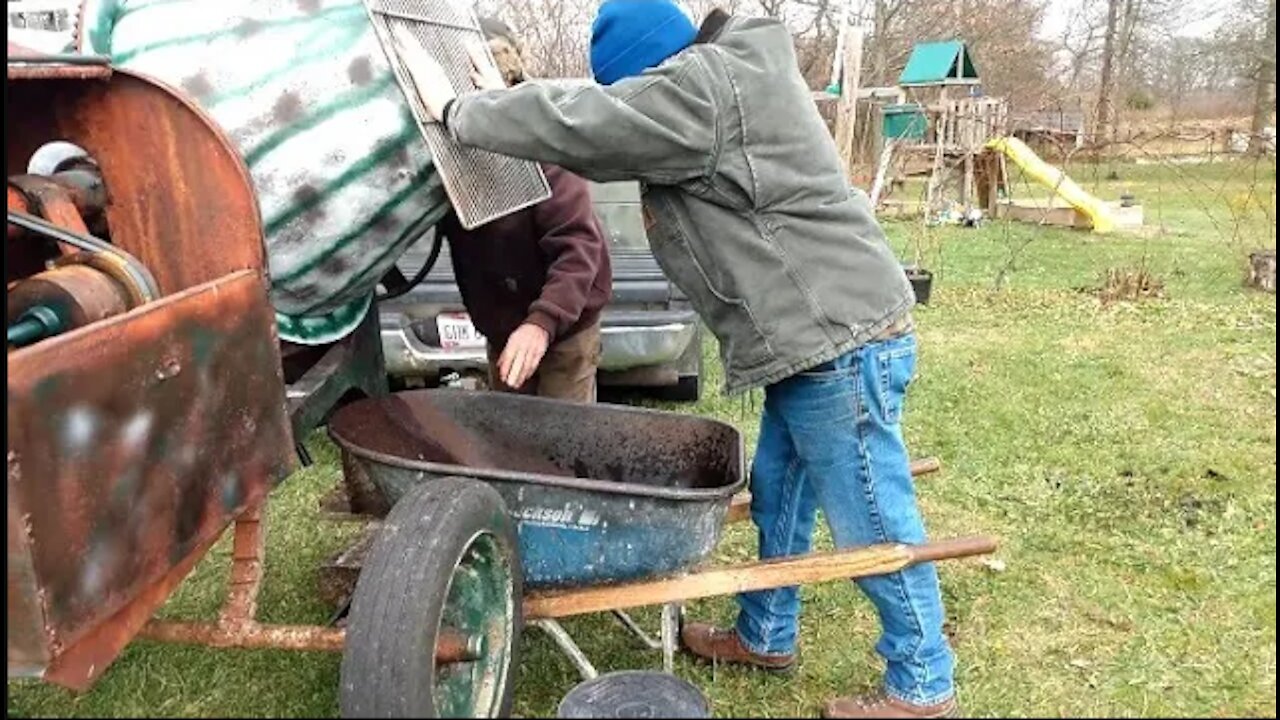 WASHING BLACK WALNUTS USING CEMENT MIXER